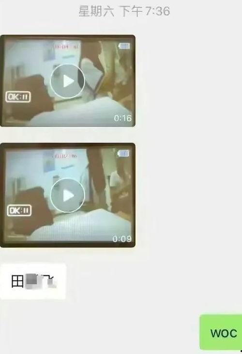 衡水爆料最新视频,揭秘惊人真相，引发社会热议！